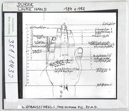 Vorschaubild Albrecht Dürer: Linke Hand (neu gerahmtes Altdia) 